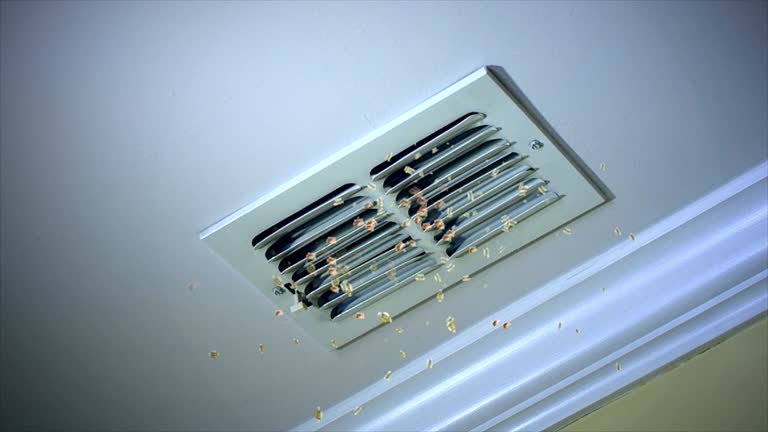 Best Best Air Duct Cleaning Company  in Menifee, CA