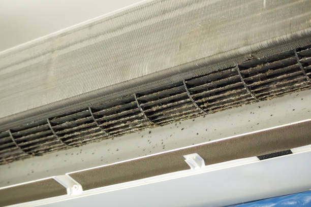 Best Affordable Air Duct Cleaning  in Menifee, CA